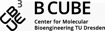 Logo B CUBE