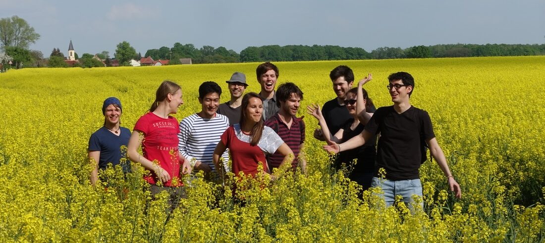 Jan Brugu&eacute;s Group