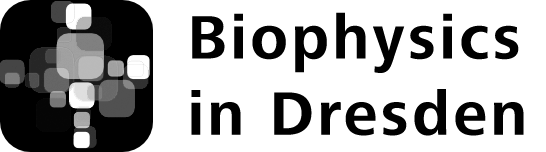 Logo Biophysics in Dresden