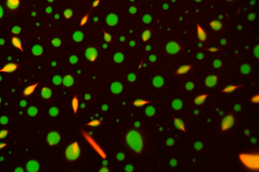 Project A5 Thumbnail