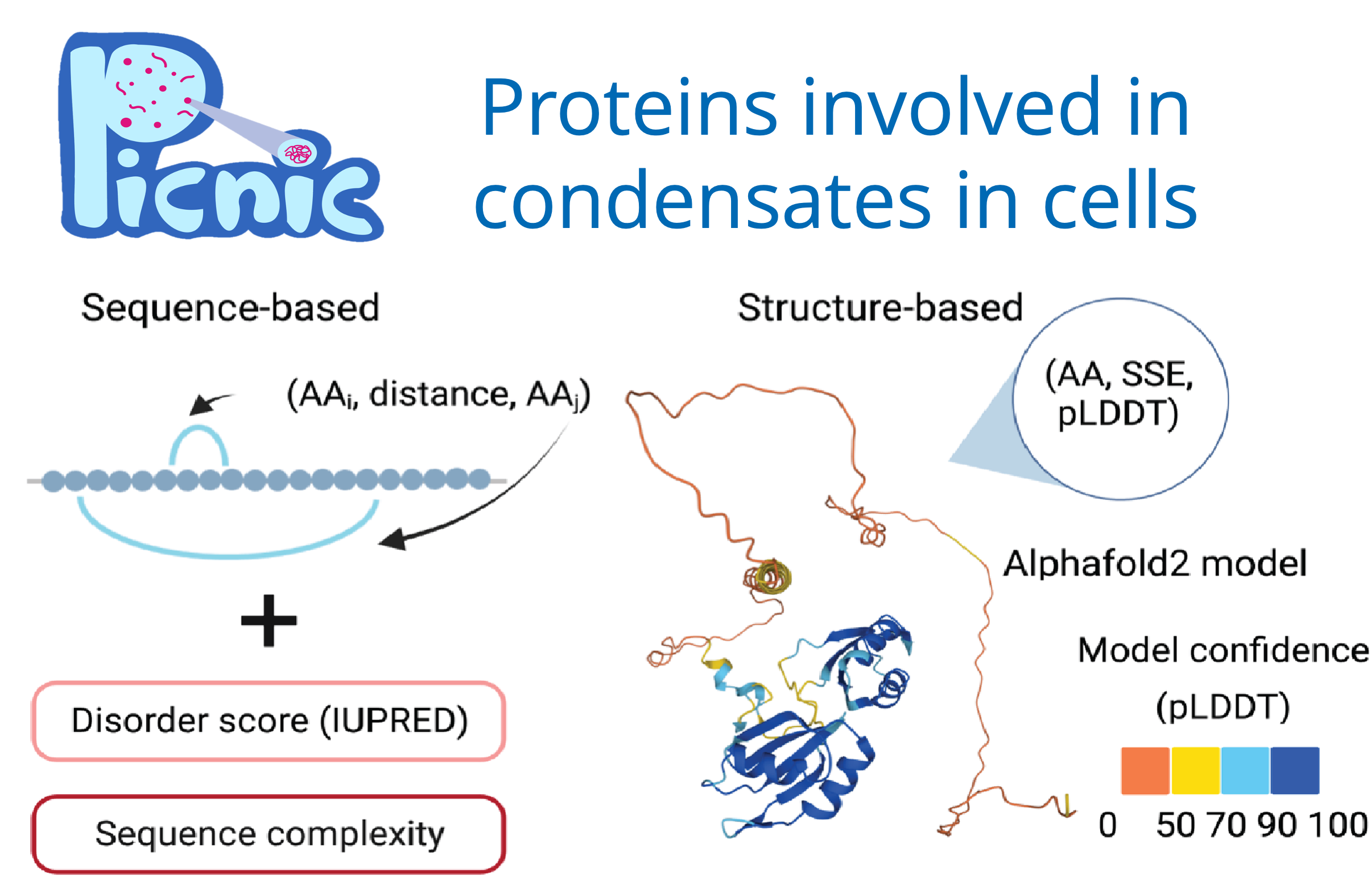 B3 PICNIC - Proteins involved in condensates in cells
