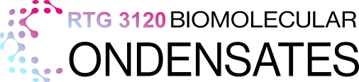 RTG 3120 Biomolecular Condensates