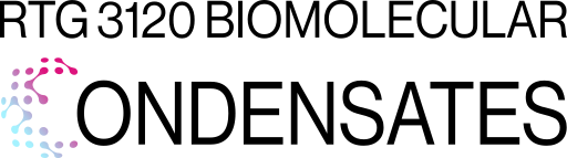RTG 3120 Biomolecular Condensates