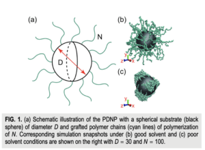 Polymer-decorated nanoparticles (PDNPs)