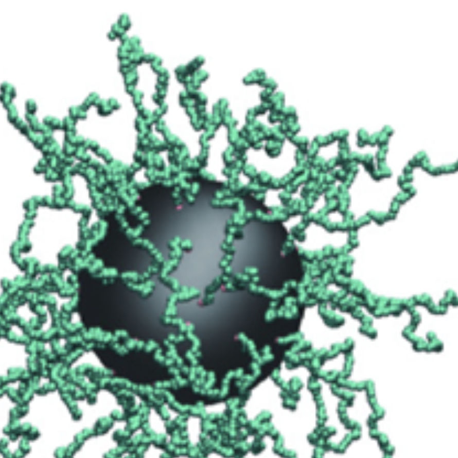 Polymer-decorated nanoparticles (PDNPs)