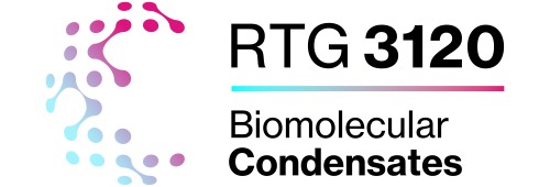 RTG 3120 Biomolecular Condensates